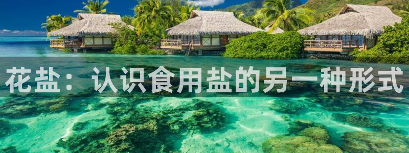威九国际视频传媒招聘