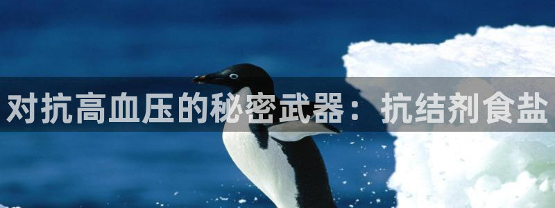 威九国际精忐