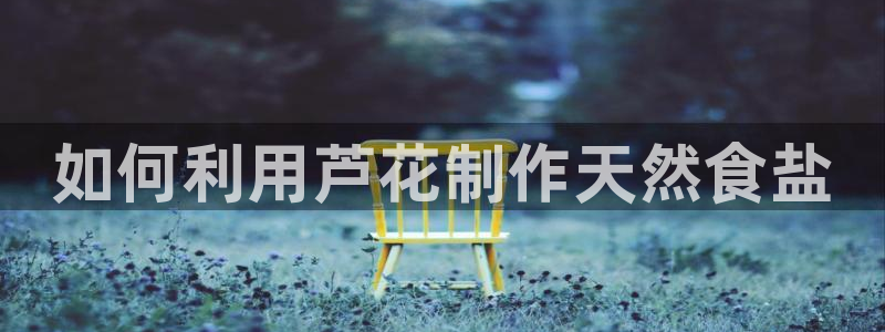 威九国际app
