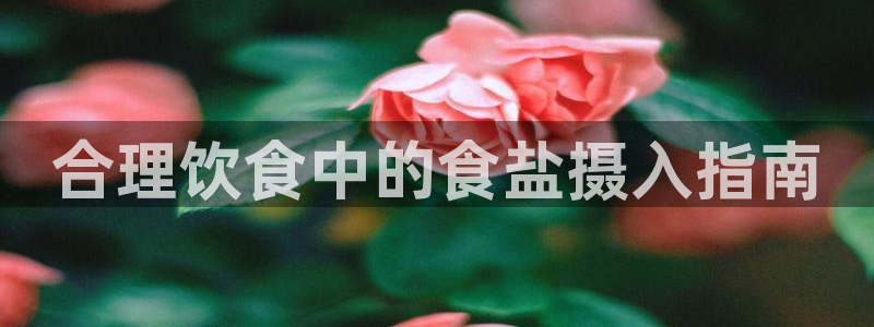 威九国际官网版