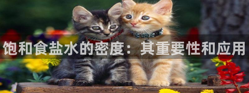威九国际APP下载