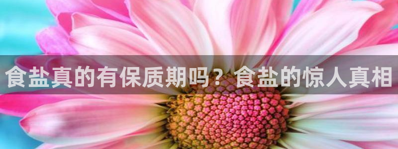 威九国际78m小说