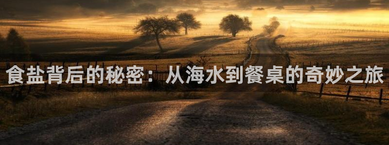 威九国际网站入囗