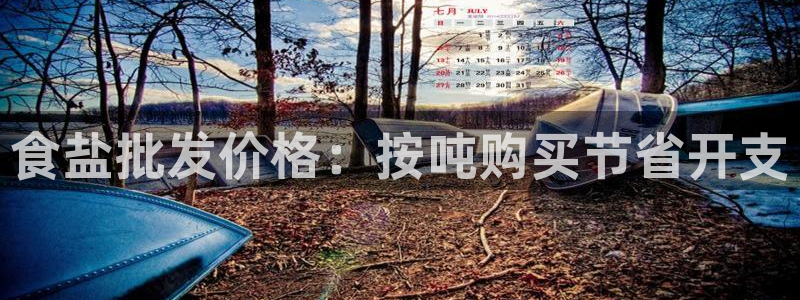 威九国际APP大全