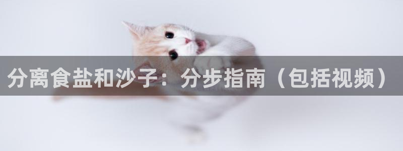威九国际真人游戏