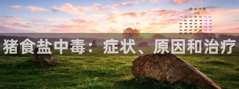 威九国际app大全下载安装
