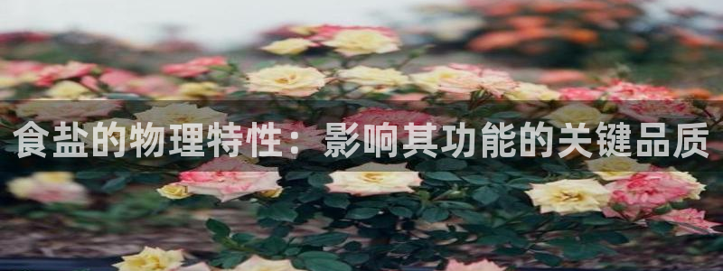78mapp威九国际