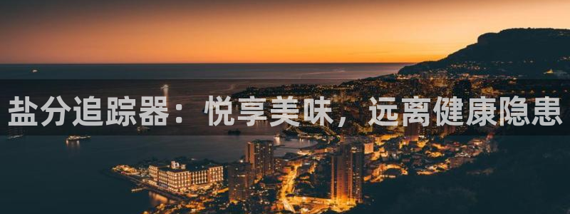 威九国际APP那个地方