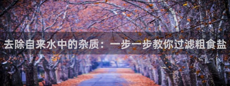 威九国际网站客服电话多少
