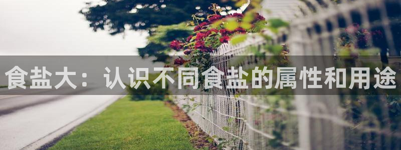 威九国际免费
