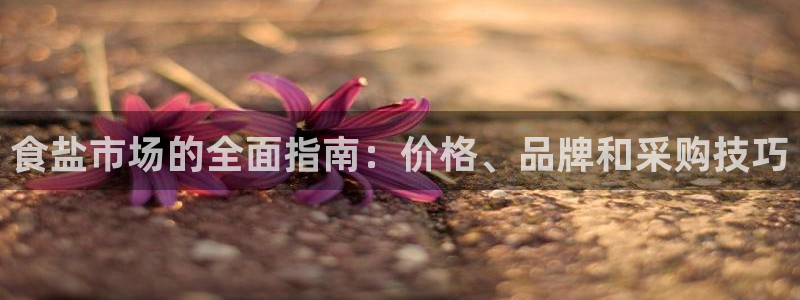 威九国际78m小说