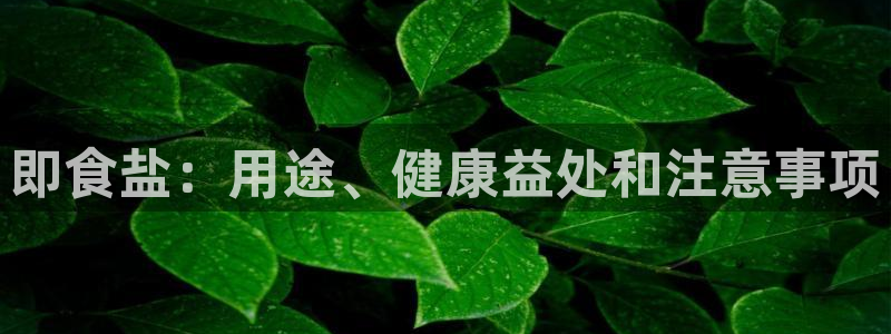 威九国际国精彩片段