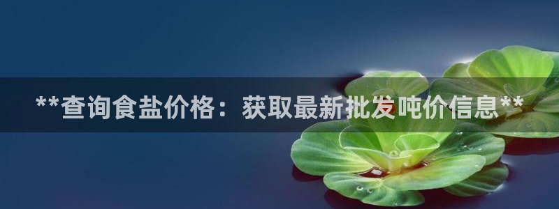 威九国际com