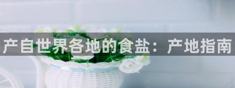 威九国际66m66