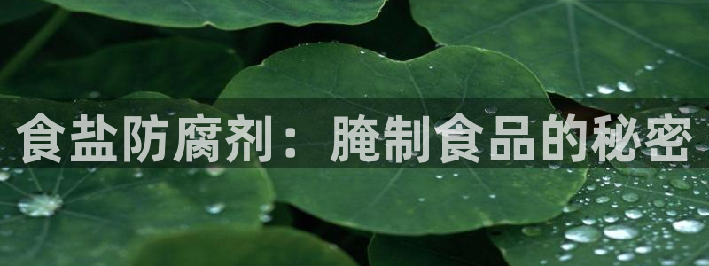 威九国际78mob游戏特色