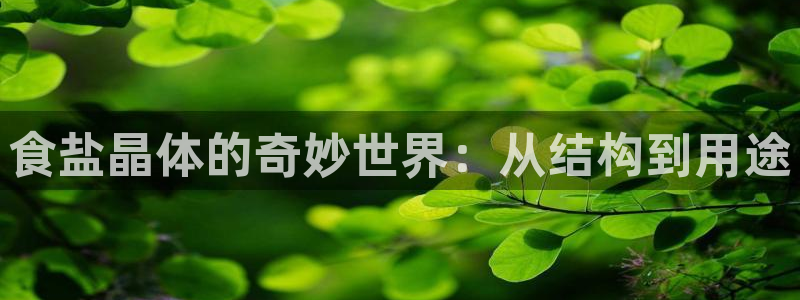 威九国际网站进入客服中心了吗
