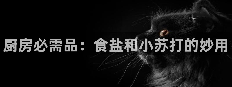 威九国际地址