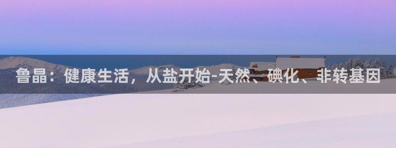 威九国际软件公司简介