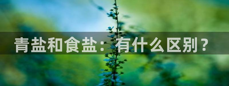威九国际游戏网站