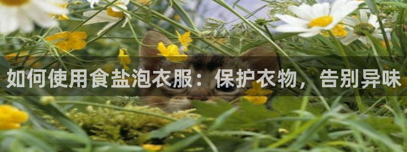 威九国际电子有限公司
