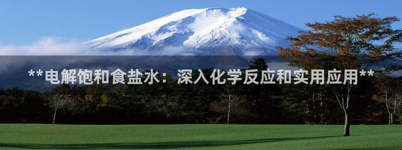 威九国际动漫