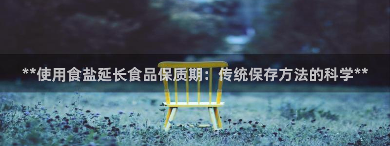 威九国际软件