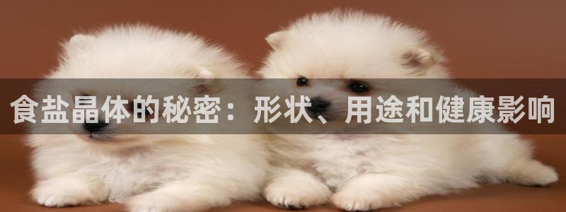 威九国际官网在线进入网站查询网址