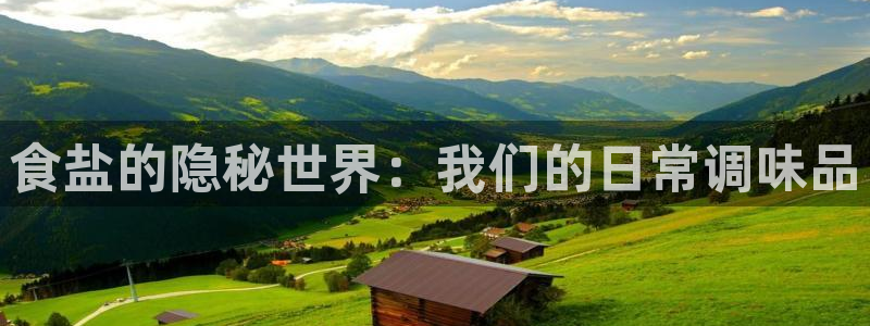 威九国际国精彩片段