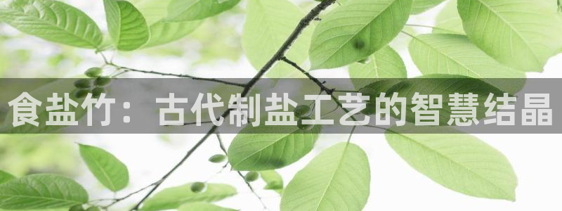 威九国际能提现吗是真的吗