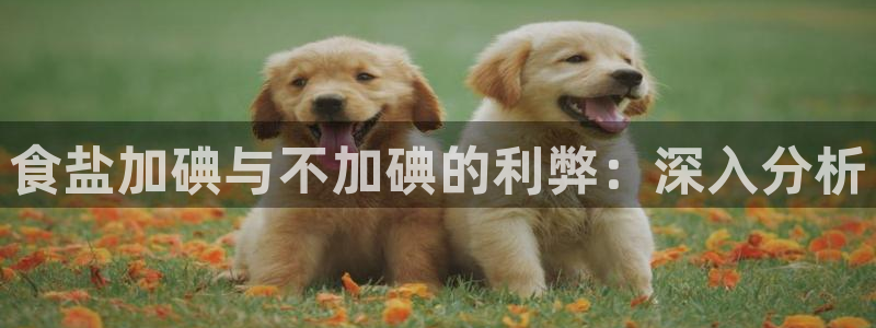 威九国际能提现吗安全吗