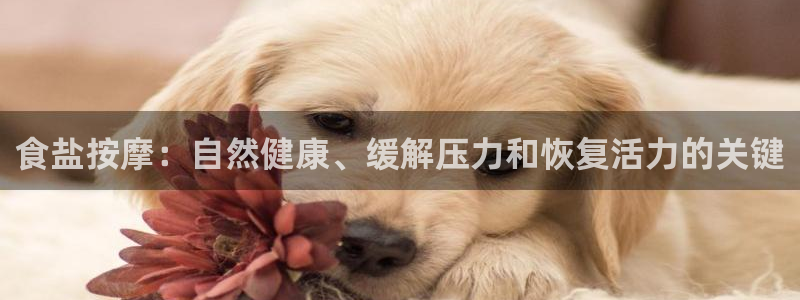 威九国际网站链接