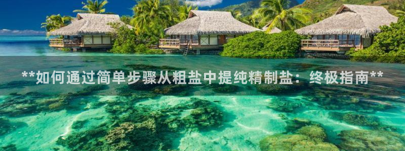 威九国际精免费下载