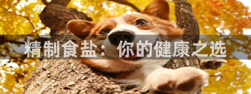 威九国际客服电话号码查询