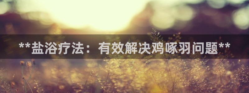 威九国际v9