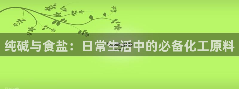 威九国际软件公司简介