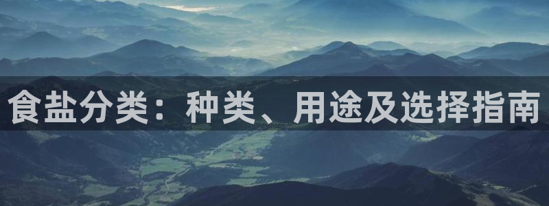 威九国际ppt官网
