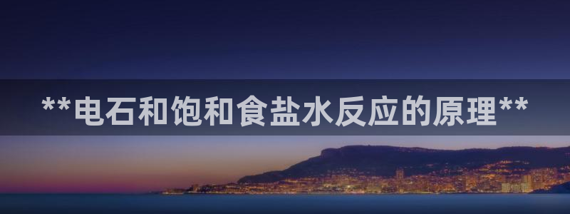 威九国际软件公司简介