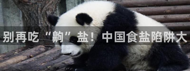 66m威九国际精选