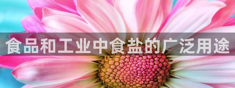 威九国际风情万种