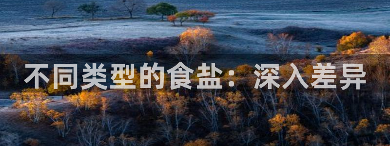 威九国际精选酒店地址