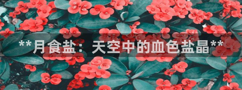 威九国际入口一