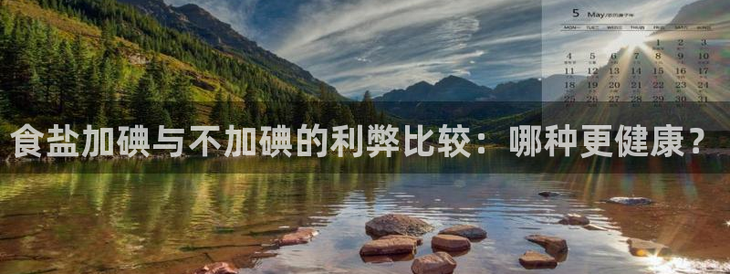 威九国际ppt免费