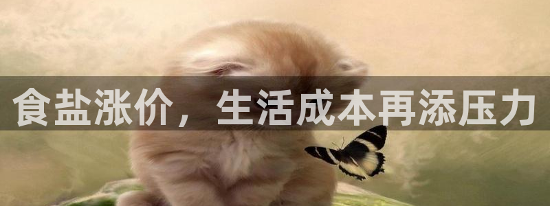 威九国际空降服务女演员名字