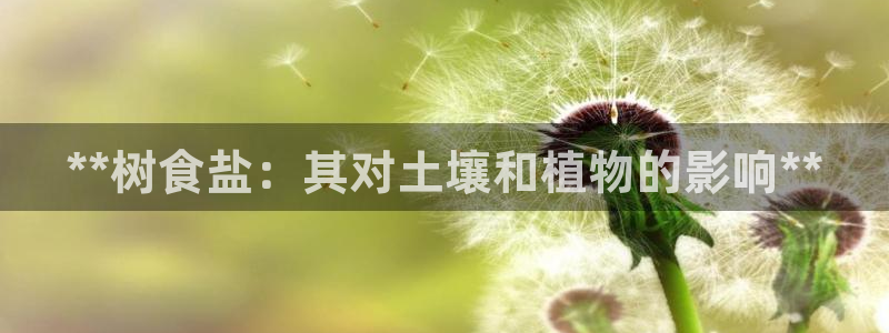 威九国际网站影视