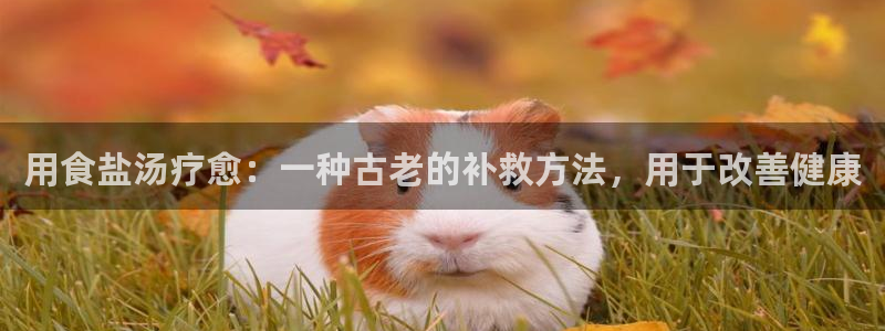 威九国际78mob网页