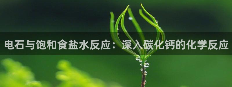 威九国际app网站