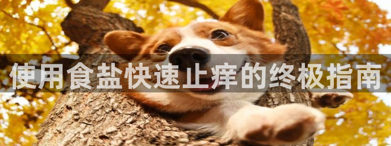 威九国际能提现吗是真的吗
