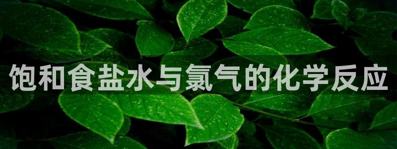 威九国际官网在线进入网站查询