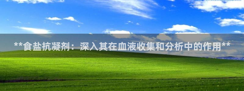 威九国际的演员
