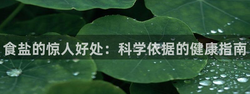威九国际官方入口